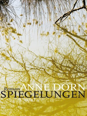 cover image of Spiegelungen